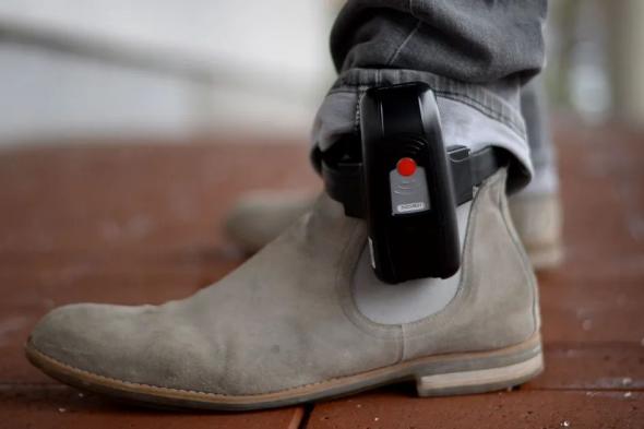 متهم ينزع سوار التتبع الإلكتروني ويعلقه على كلب ويفر