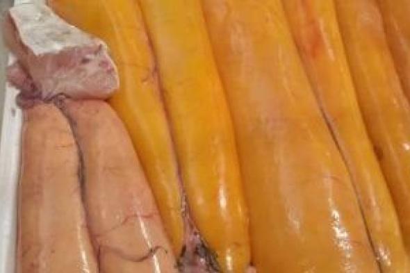 "الفوارغ"
موسم
الإستثمار
الشعبى
داخل
أسواق
السمك
فى
دمياط