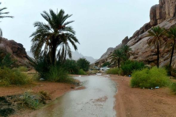 أمطار
ورياح
شديدة
على
منطقة
حائل