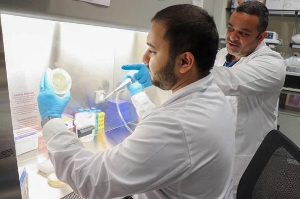 باحثون
      بجامعة
      نيويورك
      أبوظبي
      يكشفون
      ارتباط
      بكتيريا
      الفم
      بالسمنة