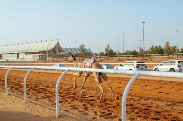 اليوم..
    تتويج
    أبطال
    كؤوس
    مهرجان
    خادم
    الحرمين
    الشريفين
    للهجن
    لفئة
    «اللقايا»