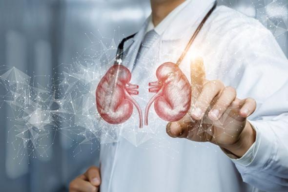 أسباب حصوات الكلى.. والأعراض المصاحبة لها