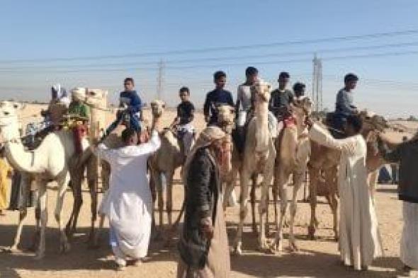 سباقات
الهجن
بقرى
ونجوع
إسنا
تبهج
قلوب
الشباب
بالموالد
والاحتفالات..
صور