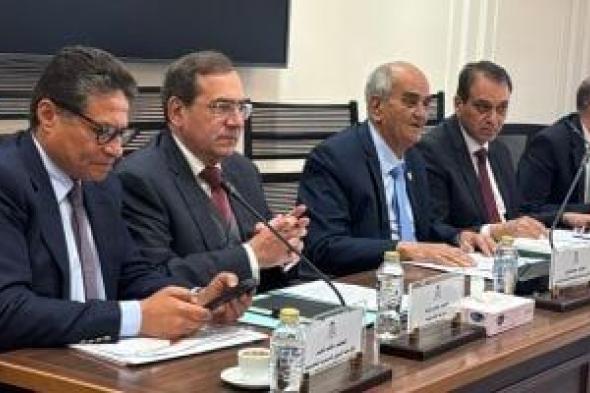 طارق
الملا:
تضخم
سرقة
الكهرباء
يهدد
موارد
الدولة
وتعديل
القانون
يشدد
الحبس
والغرامة