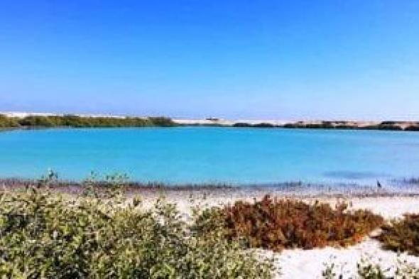 تعرف
على
عقوبات
الصيد
الجائر
للأنواع
المهددة
بالانقراض
القانون
يحذر