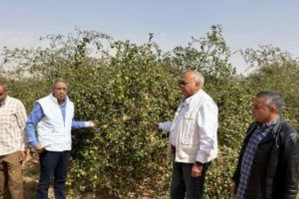 رئيس
مركز
بحوث
الصحراء
يتفقد
الأنشطة
البحثية
بمحطة
توشكى