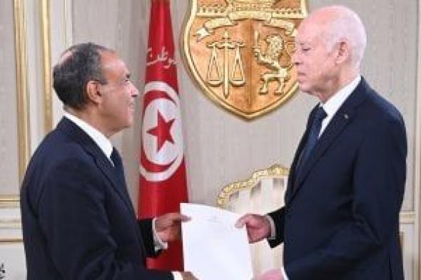 وزير
الخارجية
يسلم
رسالة
خطية
من
الرئيس
السيسى
إلى
نظيره
التونسى