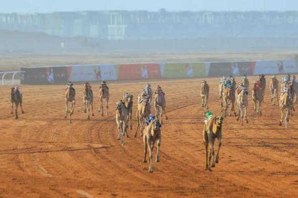 تتويج
أبطال
مهرجان
خادم
الحرمين
الشريفين
للهجن
2026
في
ختام
منافسات
«اللقايا»