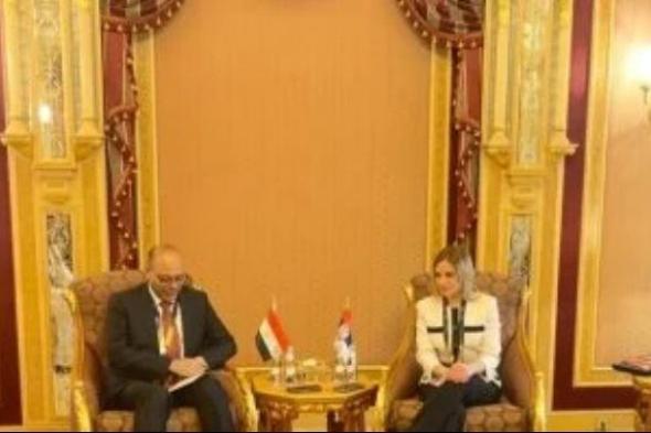 وزير العمل يبحث مع نظيرته الصربية فتح أسواق عمل أمام العمالة المصرية