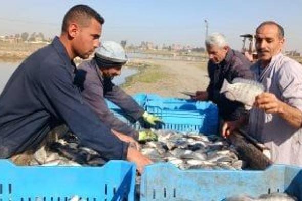 الخير
في
أرض
مصر..
صيادو
الشرقية
يتحدون
البرد
بابتسامة
أمل..
فيديو
وصور