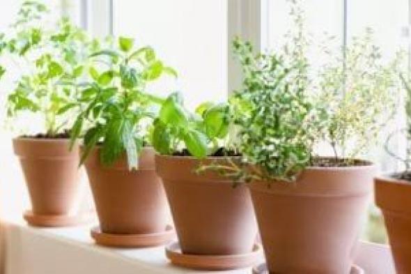 10
نصائح
ذهبية
من
أجل
مشاركة
فعالة
فى
الاحتفال
بيوم
البيئة
الوطنى