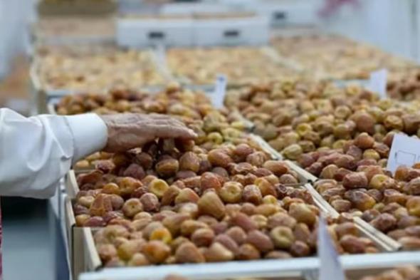 اليوم..
    افتتاح
    مهرجان
    تمور
    الجوف
    الـ
    12
    بدومة
    الجندل