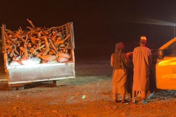 ضبط
    مخالفين
    سودانيين
    لارتكابهما
    مخالفات
    اقتلاع
    الأشجار
    وحرقها
    في
    المدينة
    المنورة