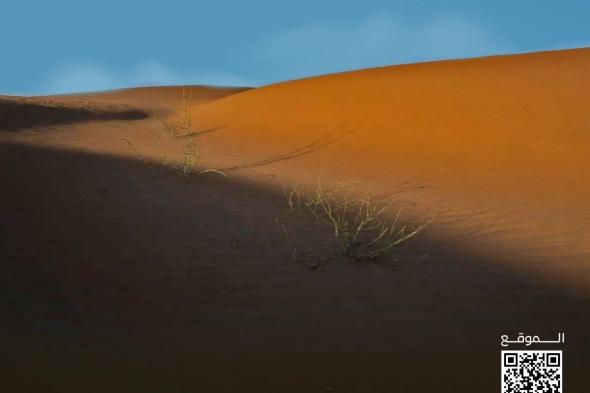 صحراء
الربع
الخالي
في
نجران..
وجهة
الشتاء
المثالية
لعشاق
الهدوء
والطبيعة