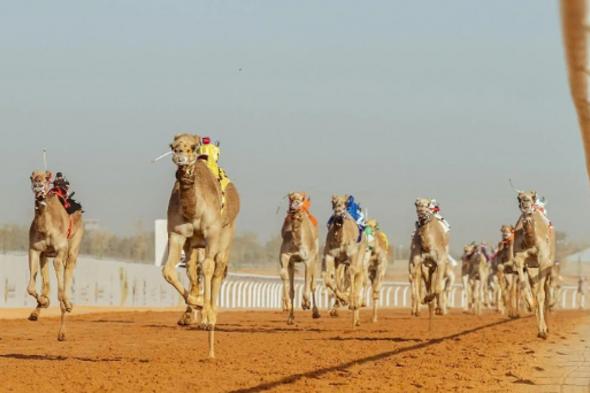 تتويج
    أبطال
    كؤوس
    مهرجان
    خادم
    الحرمين
    الشريفين
    للهجن
    اليوم
    لفئة
    «الجذاع»