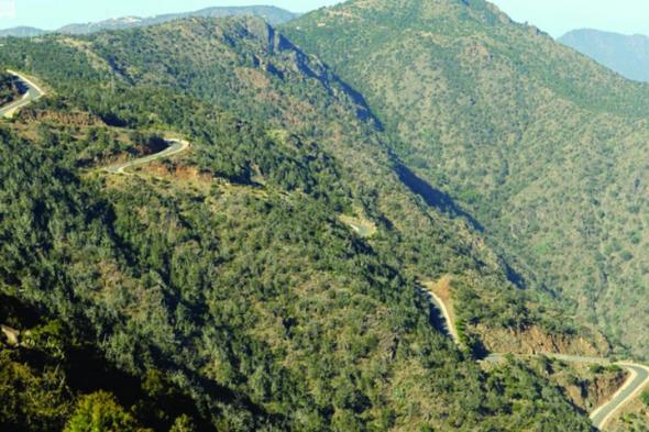 مدرب:
    جبال
    عسير
    أفضل
    مكان
    في
    الخليج
    لممارسة
    الطيران
    الشراعي