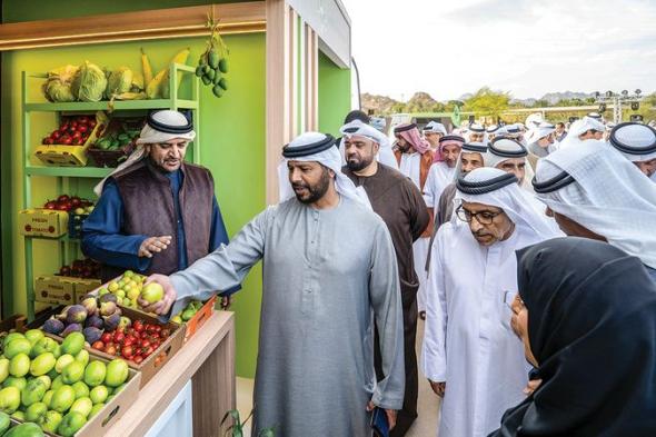 انطلاق الدورة الثالثة لـ «مهرجان حتّا الزراعي»
