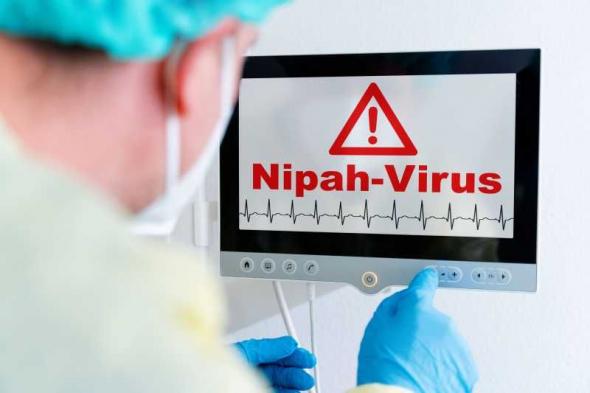 سنغافورة تعزز إجراءات الفحص الصحي بمطار تشانغي بعد تفشي فيروس نيباه في الهند