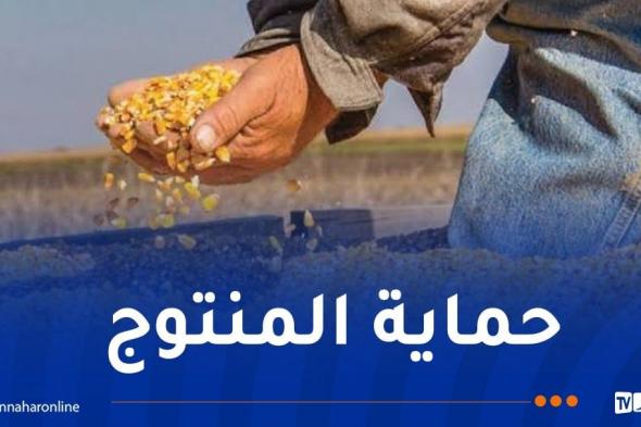 وزارة
الفلاحة:
تزويد
ولاية
أدرار
بستة
مجففات
للذرة
وفتح
3
مراكز
جوارية
للتخزين