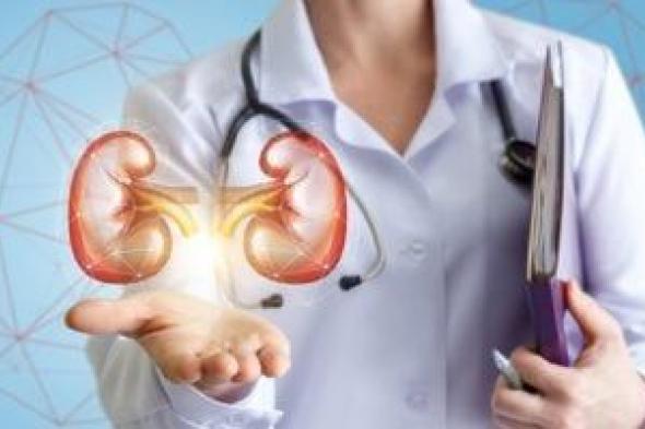 علماء
يتوصلون
إلى
سبب
جديد
لتكوين
حصوات
الكلى..
كيف
يساهم
فى
الوقاية