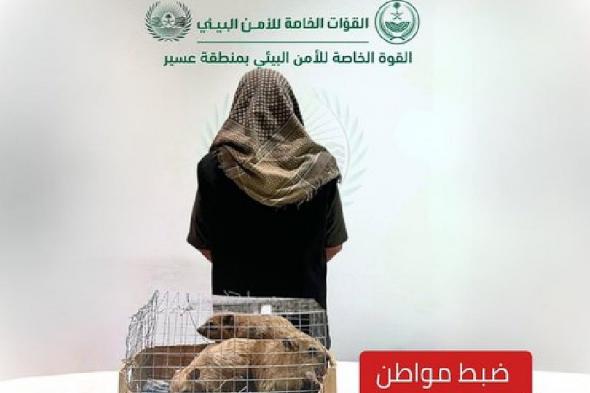 ضبط
مواطن
بعسير
ظهر
في
محتوى
مرئي
يعرض
كائنات
فطرية
دون
ترخيص
للبيع