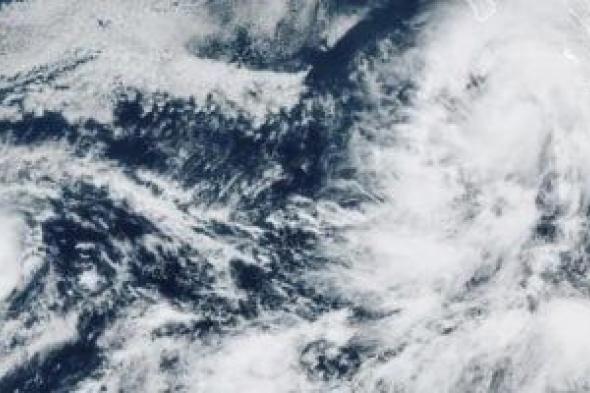 تعليق
الدراسة
فى
الجزائر
وتشكيل
خلية
أزمة
..اعرف
السبب