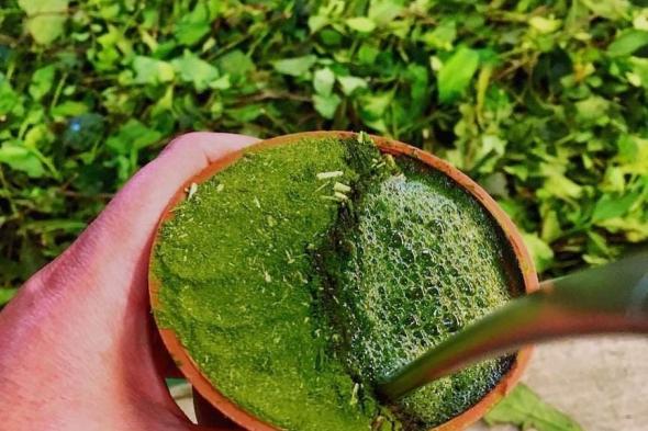 سحب "المتّة "من أسواق ألمانيا