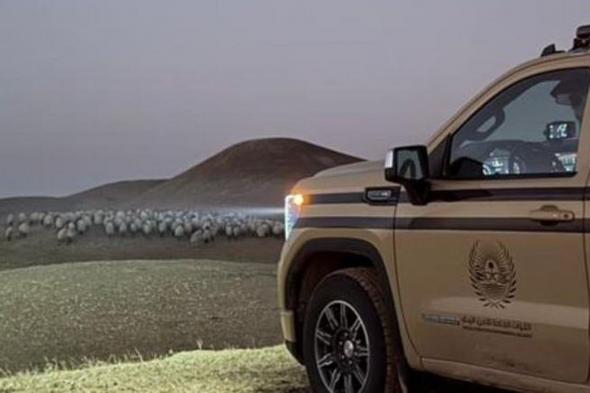 ضبط
    مواطن
    لارتكابه
    مخالفة
    رعي
    بمحمية
    الملك
    عبدالعزيز
    الملكية