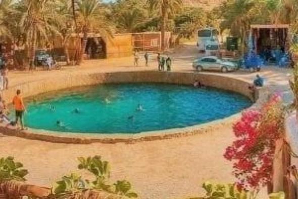 أكثر
من
200
عين
طبيعية
وكبريتية..
واحة
سيوة
مقصد
السياحة
العلاجية