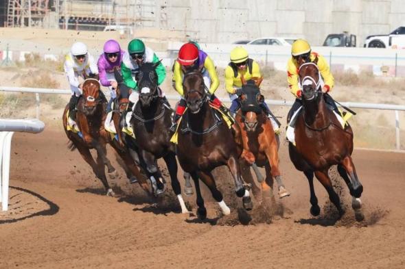 96
      خيلاً
      في
      الحفل
      الثامن
      بمضمار
      جبل
      علي