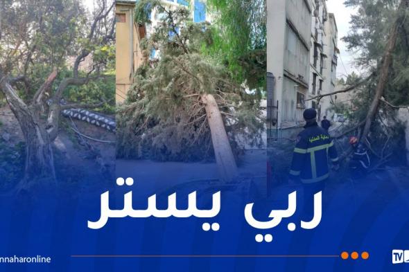 انهيارات
جزئية
وسقوط
عشرات
الأشجار
والأعمدة
عبر
عدة
ولايات