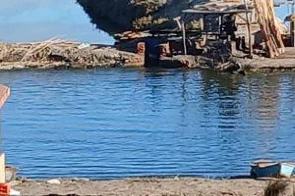 بحيرة
المنزلة
أحد
أهم
مصادر
الثروة
السمكية
ومصدر
رزق
سكان
المناطق
المحيطة
بها