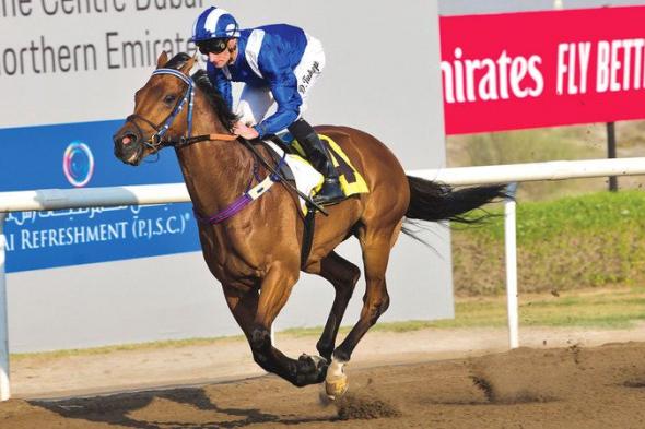 ألقاب «الحفل الثامن» في مضمار جبل علي تغازل 96 خيلاً 