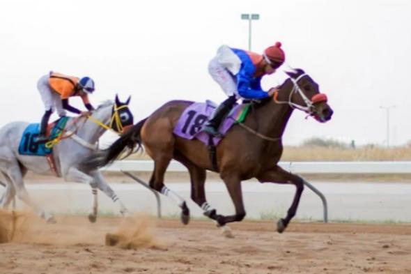 ميدان
    فروسية
    الأحساء
    يقيم
    سباقه
    الرابع
    عشر