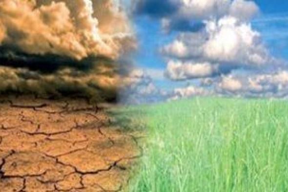 اعرف
المخاطر
المستقبلية
لصناعة
التأمين
وطرق
المواجهة..
منها
المناخية
والتكنولوجية