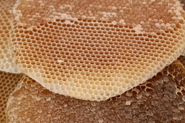 العسل
    والحنيذ..
    نكهة
    تراثية
    تعكس
    هوية
    محايل
    عسير