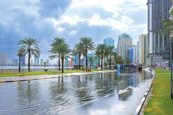 «الأرصاد»: أمطار خفيفة حتى الجمعة المقبلة