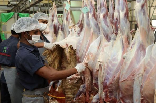 جولات
رقابية
مكثفة
على
أسواق
النفع
العام
والمسالخ
بجازان