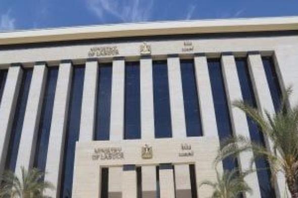 نشرة
التوظيف..
وزارة
العمل
تعلن
عن
فرص
عمل
برواتب
تصل
لـ
13500
جنيه