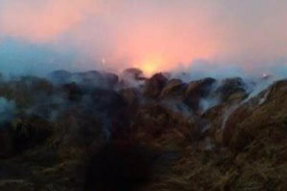 جهود
للسيطرة
على
حريق
في
شونة
تجميع
قش
أرز
بالمحلة