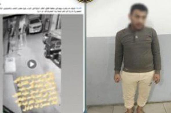 كشف
لغز
فيديو
تحريض
كلب
لعقر
طفل
بالمحلة
الكبرى