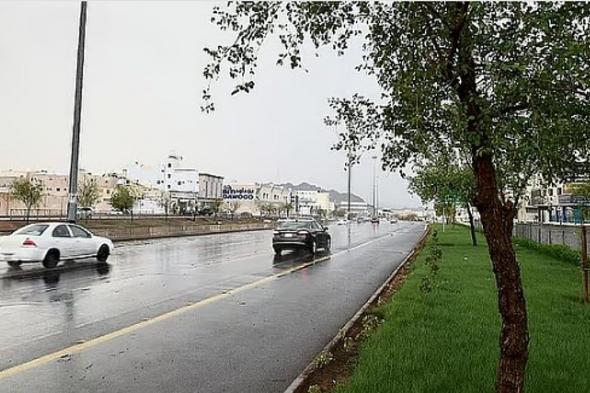 الحصيني:
    شهر
    فبراير
    يشهد
    زيادة
    تدريجية
    في
    طول
    النهار
    ويغلب
    على
    أجوائه
    البرودة