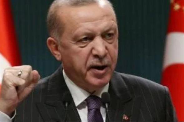 الرئاسة التركية: الرئيس أردوغان يزور مصر الأربعاء المقبل