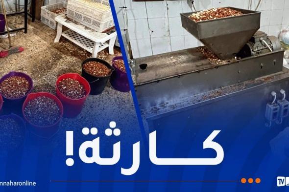 تلمسان:
إكتشاف
ورشة
سرية
وحجز
20
قنطارا
من
"الكاوكاو"