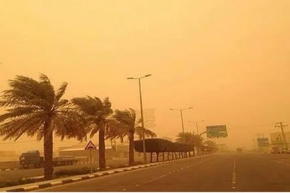 الأرصاد:
    أمطار
    وموجة
    ضباب
    على
    الشرقية
    ورياح
    نشطة
    على
    تبوك