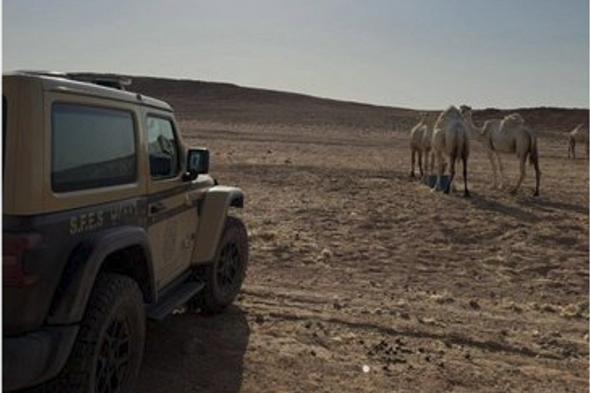 «الأمن
    البيئي»
    يضبط
    مخالفًا
    لنظام
    البيئة
    في
    محمية
    الملك
    عبدالعزيز
    الملكية