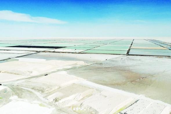 ديوان
      المحاسبة
      الأوروبي
      يحذّر
      من
      القدرة
      على
      ضمان
      إمدادات
      المعادن