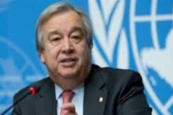 الأمم المتحدة: لا بديل عن حل الدولتين وغزة جزء لا يتجزأ من الدولة الفلسطينية