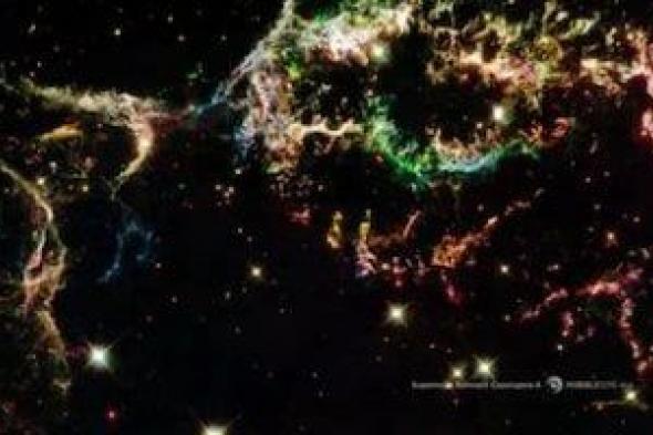 كيف
كشف
"الكريبتون"
المحبوس
داخل
الرمال
تاريخ
الأرض
قبل
40
مليون
عام؟