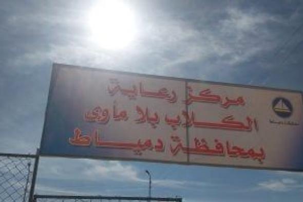 إنشاء
أول
مركز
لرعاية
الكلاب
الضالة
بدمياط
بإشراف
كامل
من
الطب
البيطرى..
فيديو